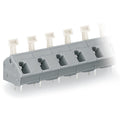 Wago - 256-603