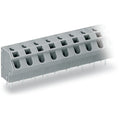 Wago - 254-560