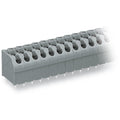 Wago - 250-507
