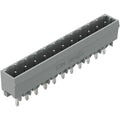 Wago - 231-171