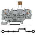 Wago - 2202-1981
